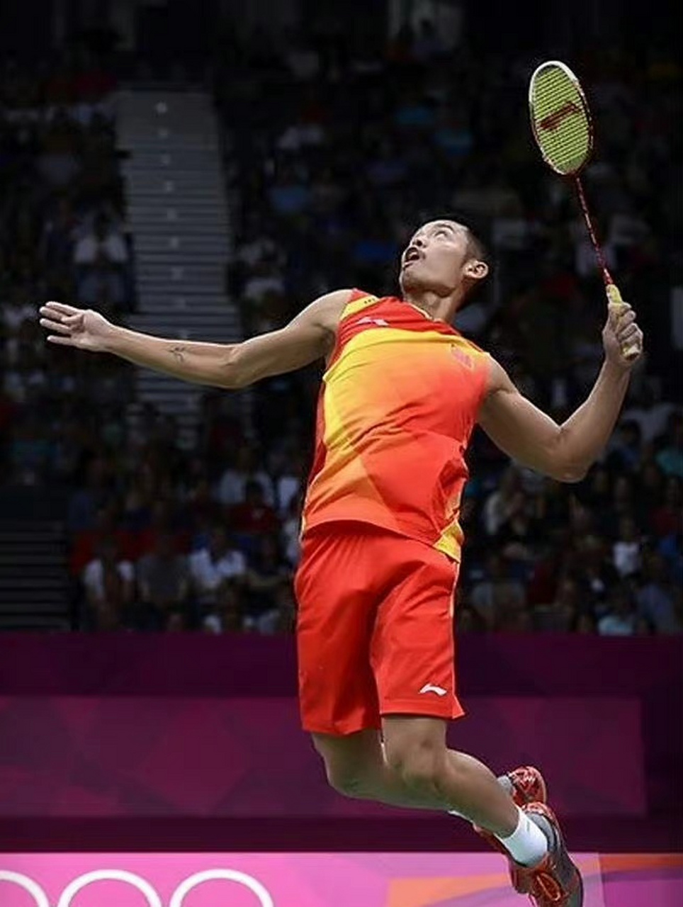 生涯与贡献 生涯与贡献