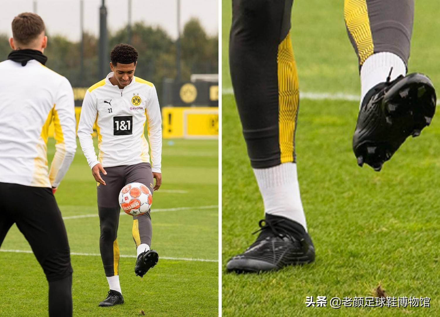 己的竞技水 己的竞技水