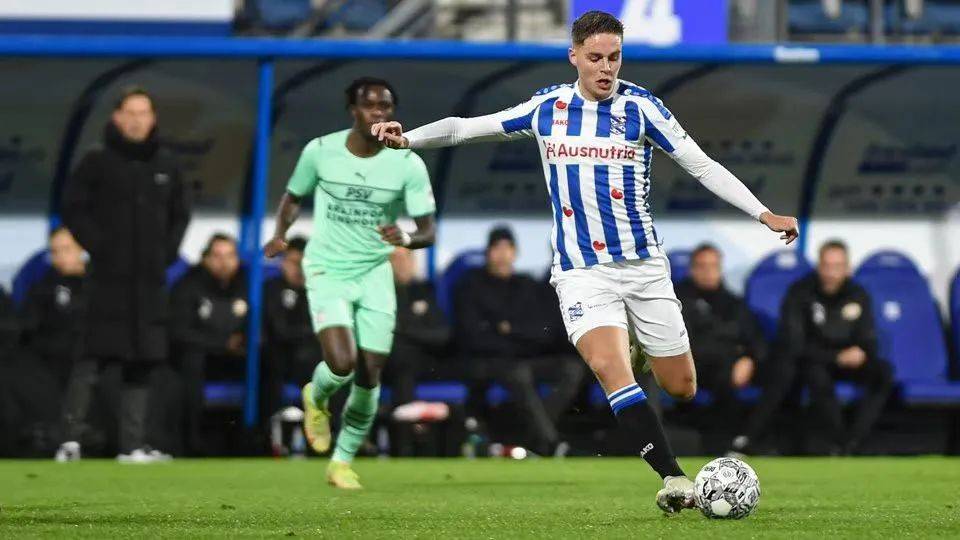 微型芯片 微型芯片